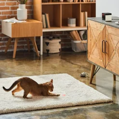 Petcube Play 2 Huisdiercamera