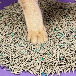 PETKIT 5 in 1 Mixed Cat Litter