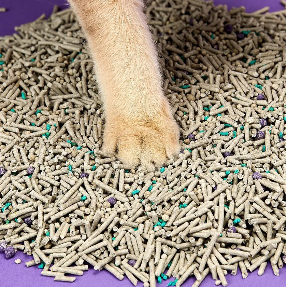PETKIT 5 in 1 Mixed Cat Litter