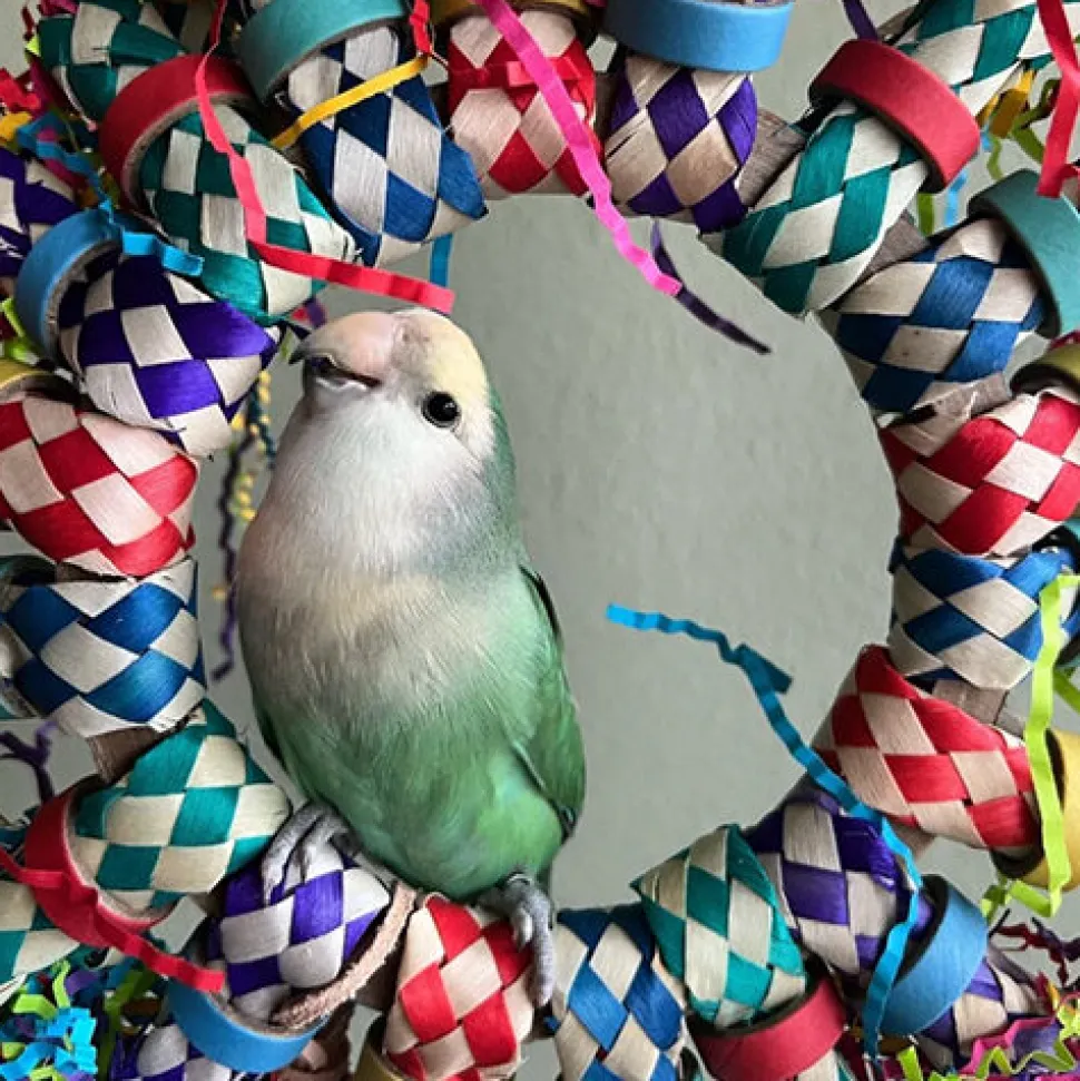 Petlala Crinkle Sun