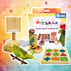 Petlala Papegaai Agility Training Set