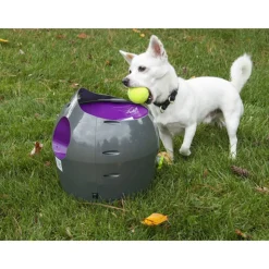 PetSafe Ball Launcher