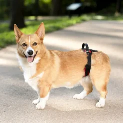 PetSafe Carelift - Draagsysteem voor de hond