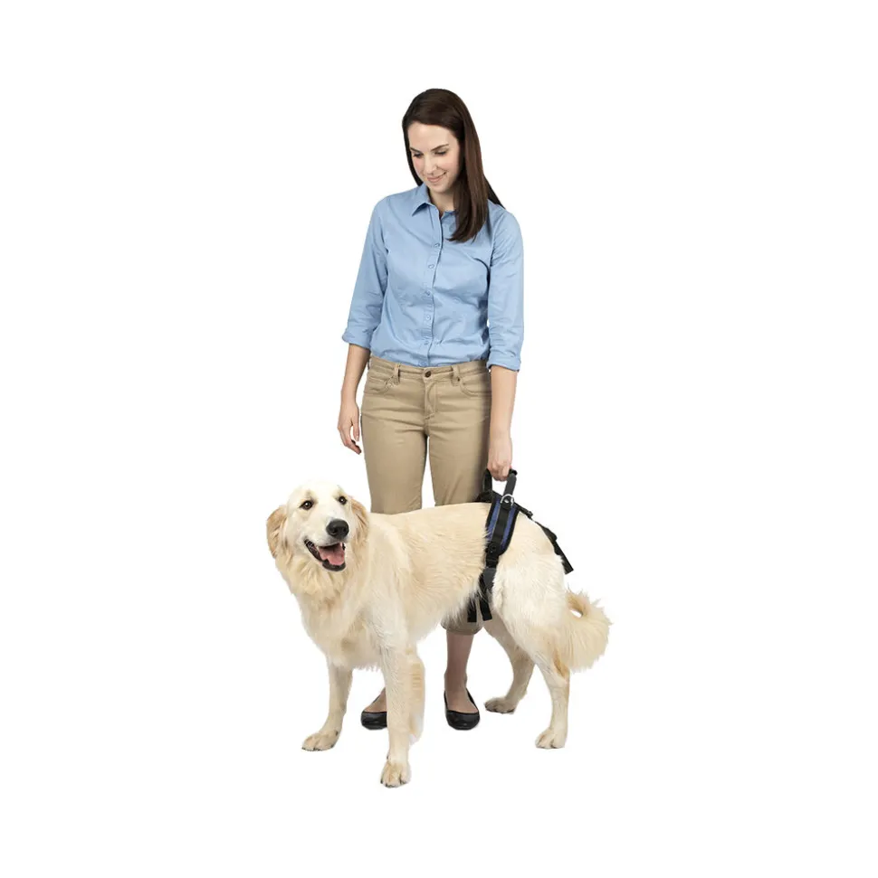PetSafe Carelift - Draagsysteem voor de hond