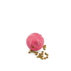 PetSafe SlimCat