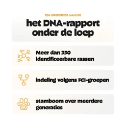 Pezz DNA Rastest Hond