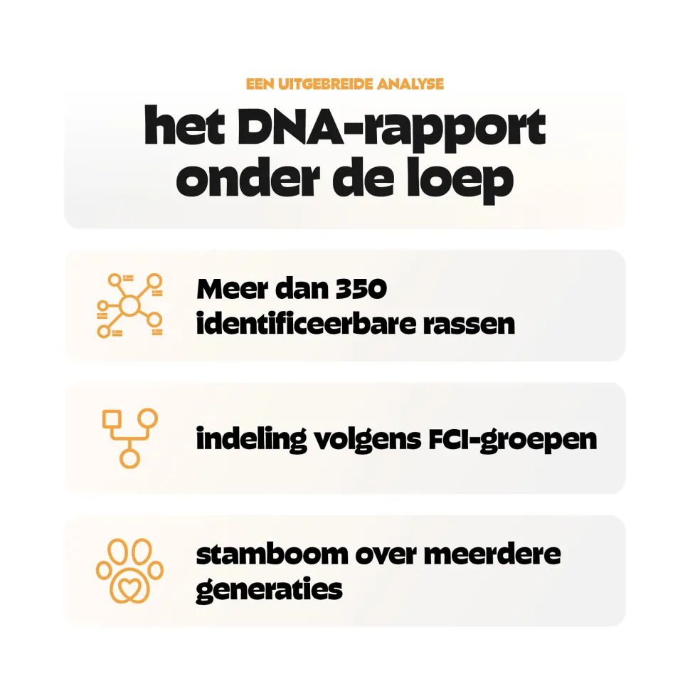 Pezz DNA Rastest Hond