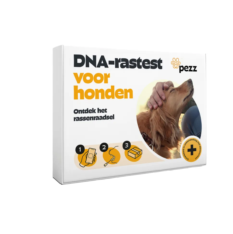 Pezz DNA Rastest Hond