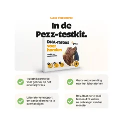 Pezz DNA Rastest Hond