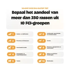 Pezz DNA Rastest Hond