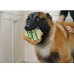 P.L.A.Y. Barking Brunch - Avo-doggo Toast