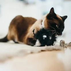 P.L.A.Y. Feline Frenzy Cat Toy Frisky Futball
