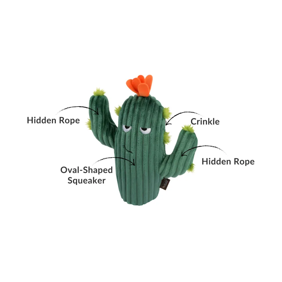 P.L.A.Y. Pet Blooming Buddies - Prickly Pup Cactus