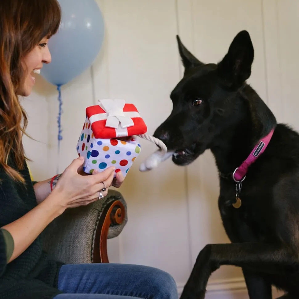 P.L.A.Y. Pet Party Time Collection - Pawfect Present