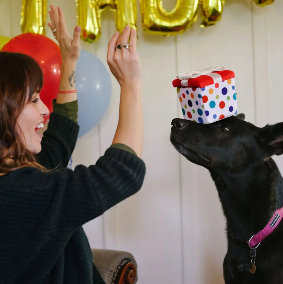 P.L.A.Y. Pet Party Time Collection - Pawfect Present