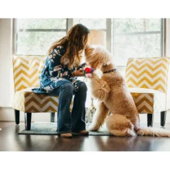 P.L.A.Y. Pet Puppy Love - Rover's Roses Pluche