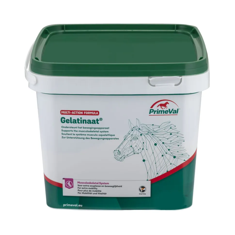 PrimeVal Gelatinaat Paard