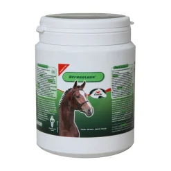 PrimeVal StressLess Paard - Poeder