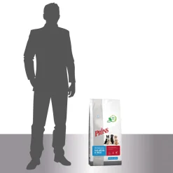 Prins Fit Selection Salmon & Rice