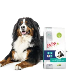 Prins ProCare Croque Veterinary Diet Gastro-Intestinal Low Fat