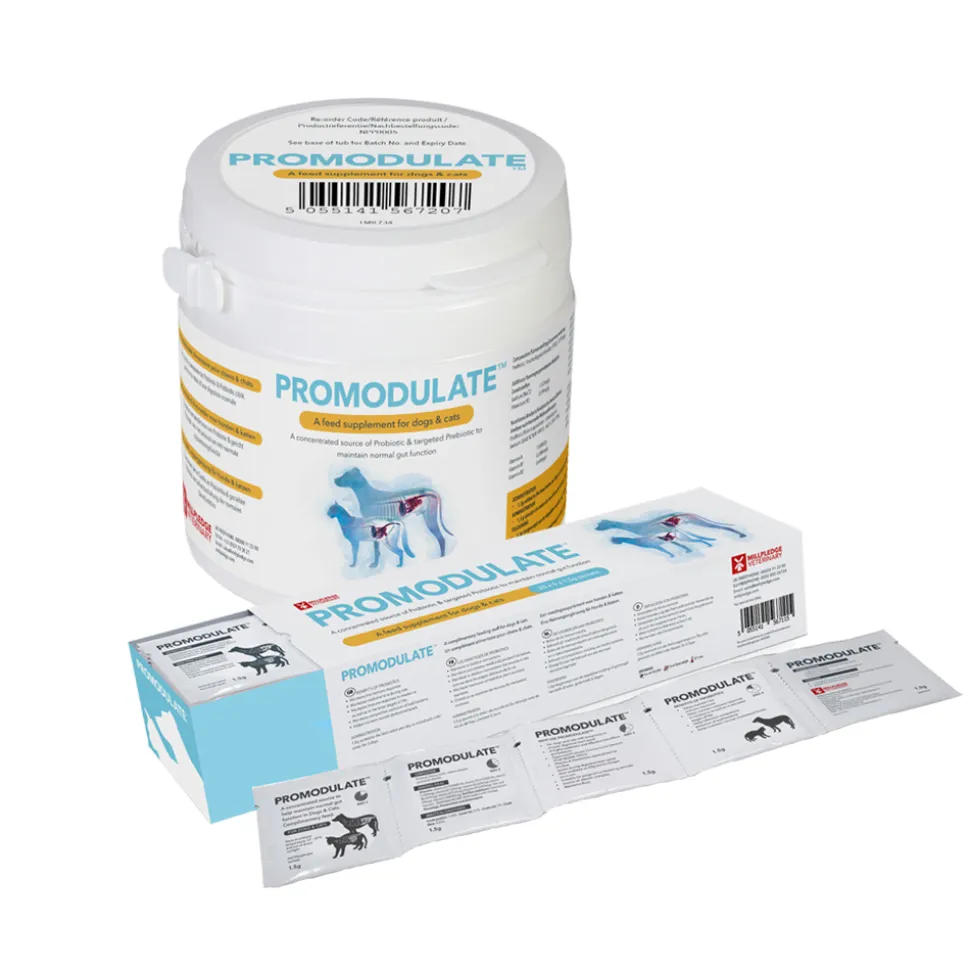 Promodulate hond/kat