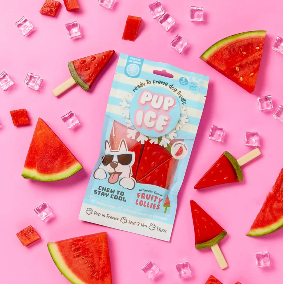 Pup Ice Hondenijs Lolly Watermeloen