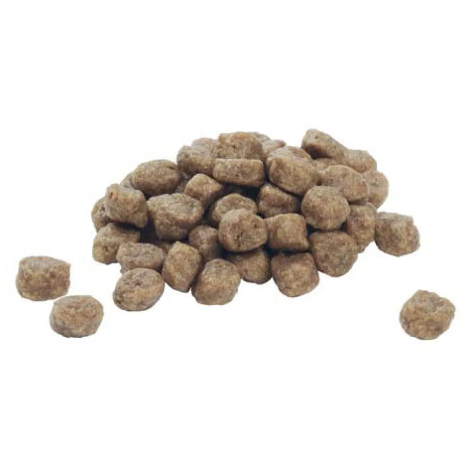 Purina Pro Plan Dog Puppy - Large Athletic