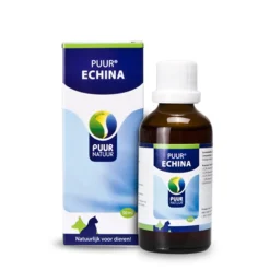Puur Echina Hond/Kat