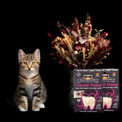 Qchefs Dental Flakes - Katten