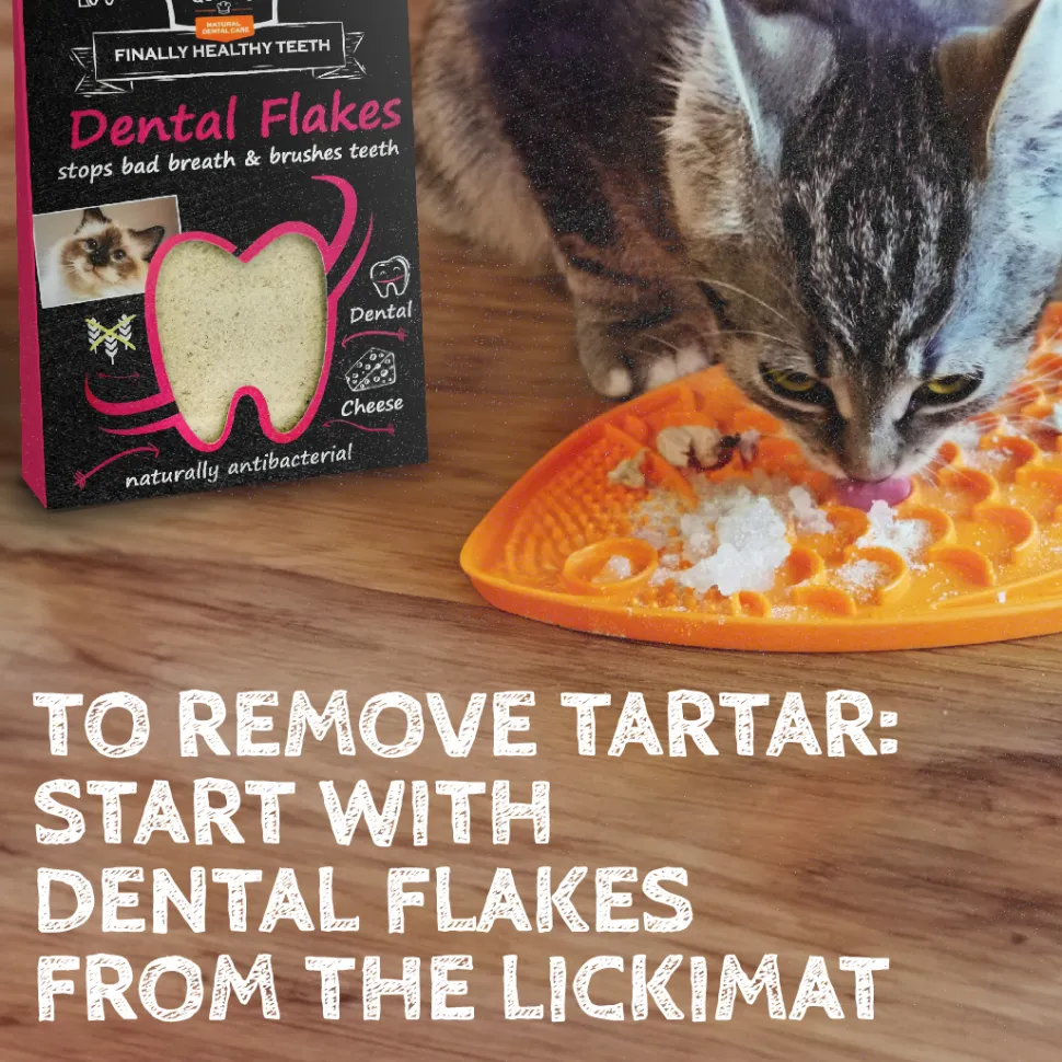 Qchefs Dental Flakes - Katten
