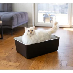 Quapas! RVS Kattenbak