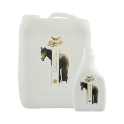 Rapide Derma Shampoo