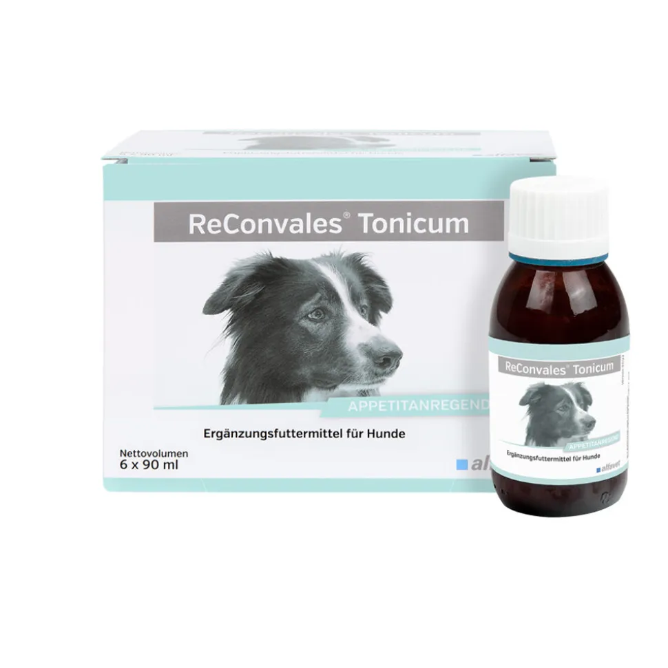 ReConvales Tonicum Hond
