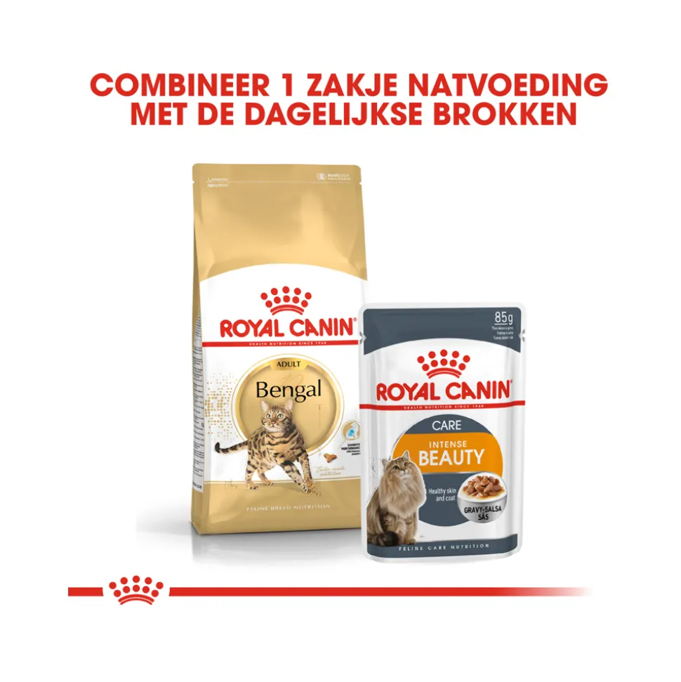 Royal Canin Adult Bengal - Kattenvoer