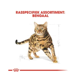 Royal Canin Adult Bengal - Kattenvoer