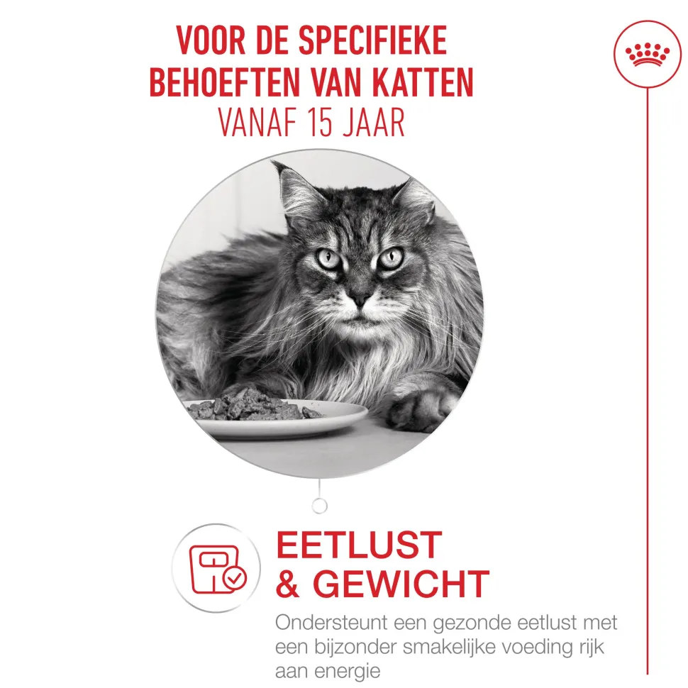 Royal Canin Ageing 15+ in Gravy - Kattenvoer