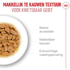 Royal Canin Ageing 15+ in Gravy - Kattenvoer