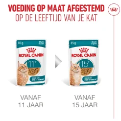 Royal Canin Ageing 11+ in Gravy - Kattenvoer