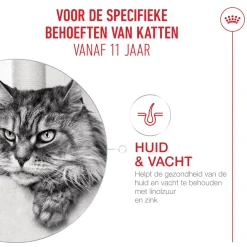 Royal Canin Ageing 11+ in Jelly - Kattenvoer