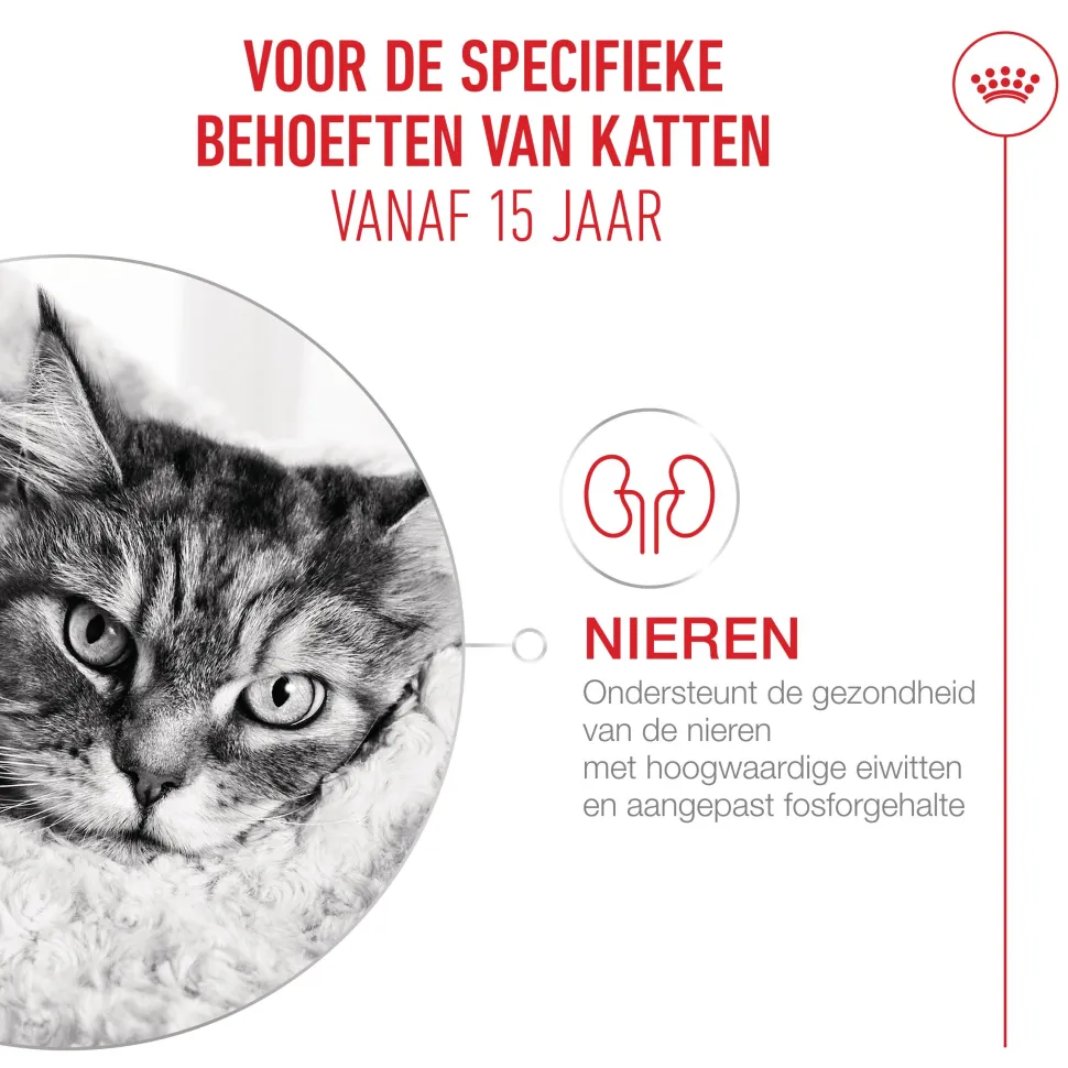 Royal Canin Ageing 15+ - Kattenvoer