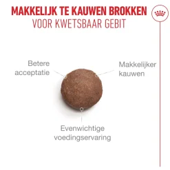 Royal Canin Ageing 11+ - Kattenvoer