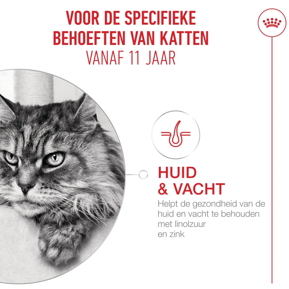 Royal Canin Ageing 11+ Mousse - Kattenvoer