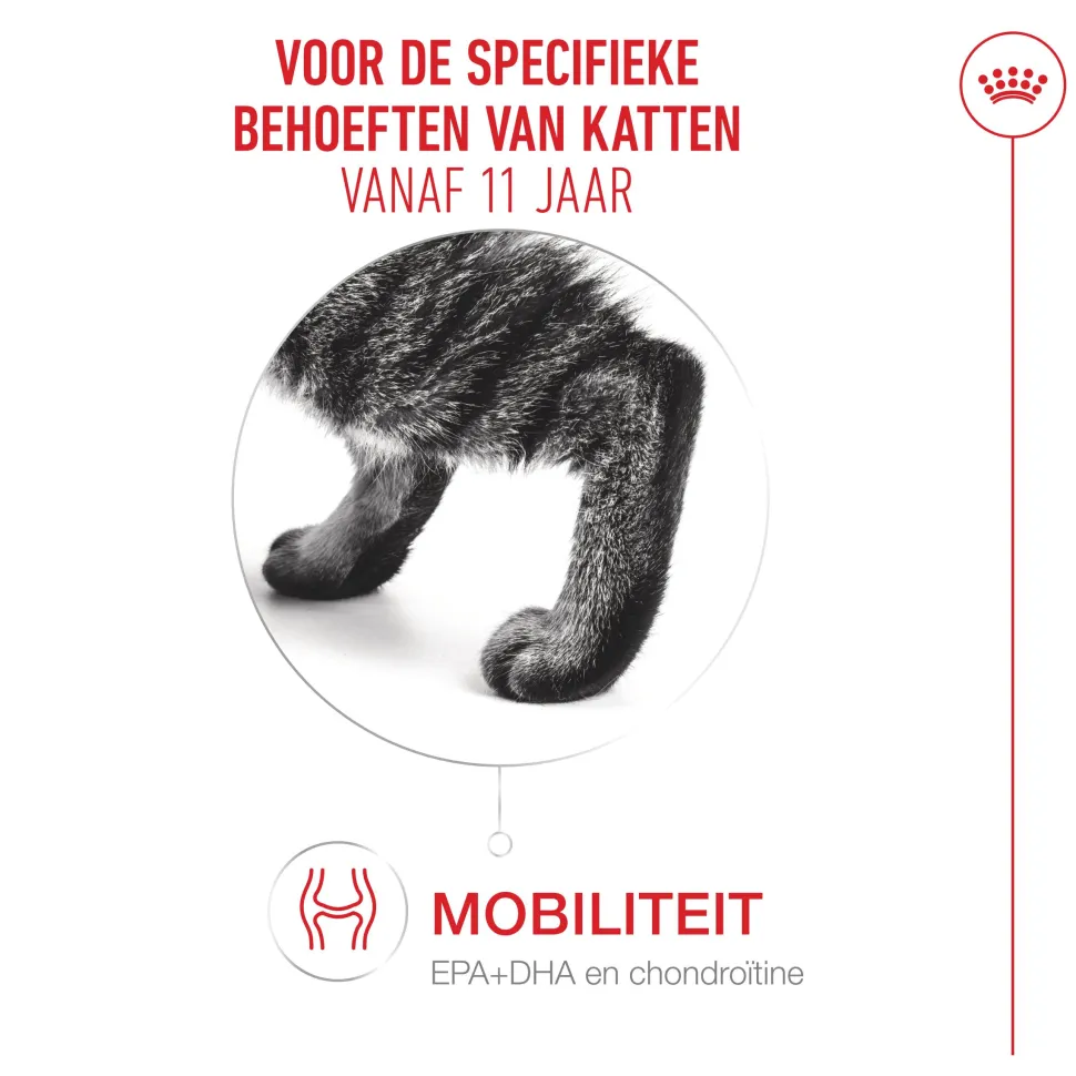 Royal Canin Ageing 11+ Mousse - Kattenvoer