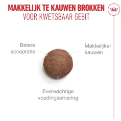 Royal Canin Ageing Sterilised 11+ - Kattenvoer