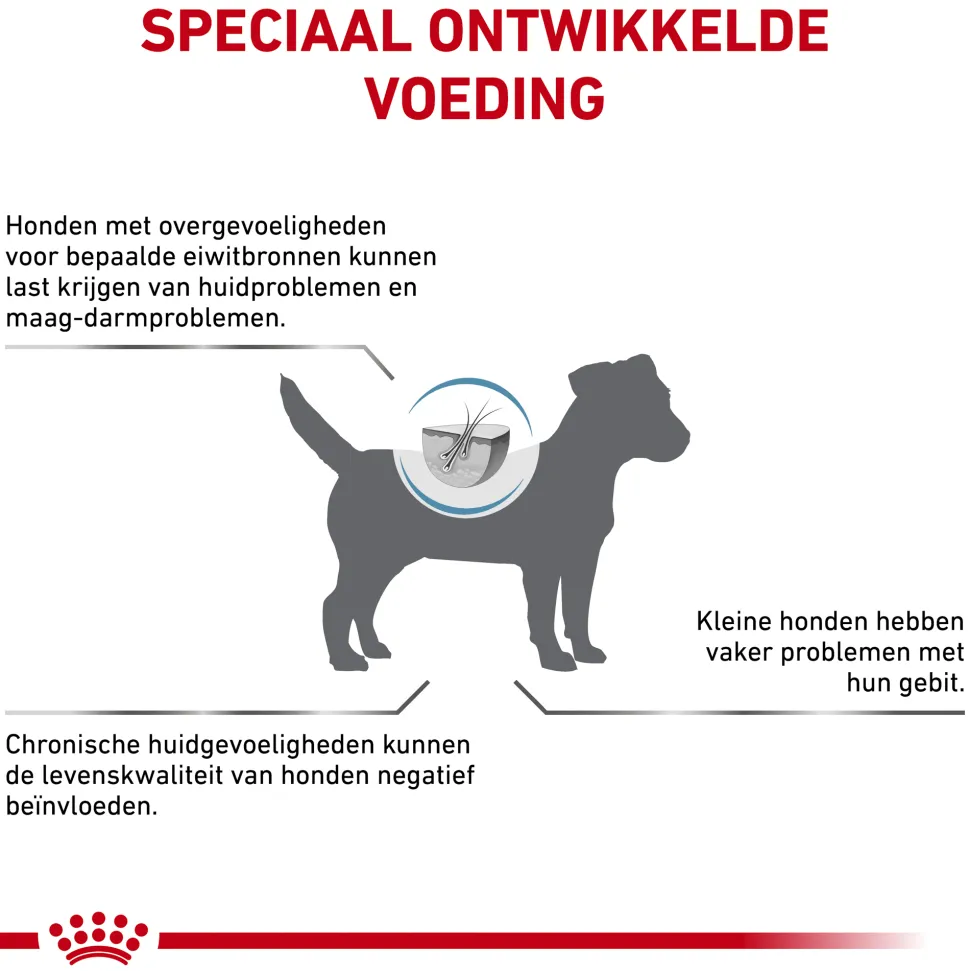 Royal Canin Anallergenic Kleine Hond