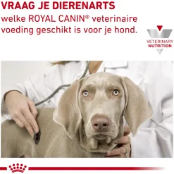Royal Canin Anallergenic Kleine Hond
