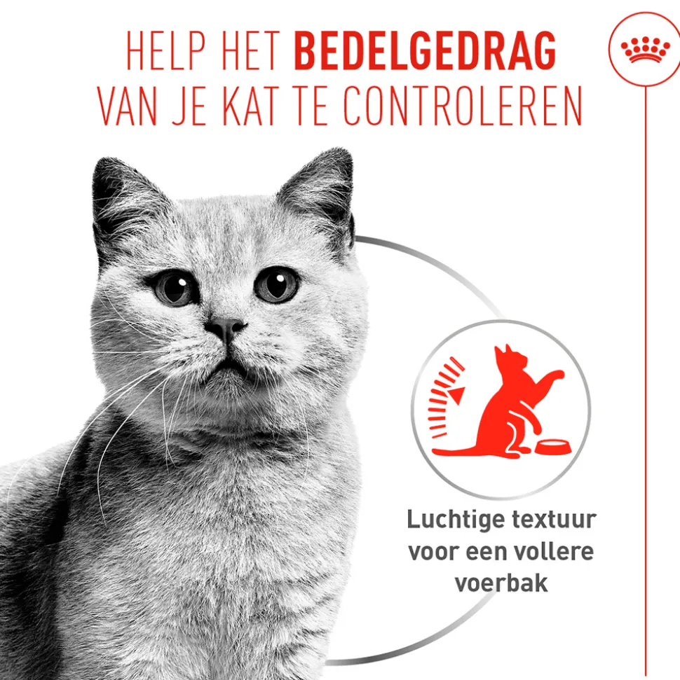 Royal Canin Appetite Control Care AirLift Mousse - Kattenvoer