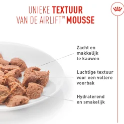 Royal Canin Appetite Control Care AirLift Mousse - Kattenvoer