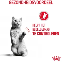 Royal Canin Appetite Control Care in Gravy