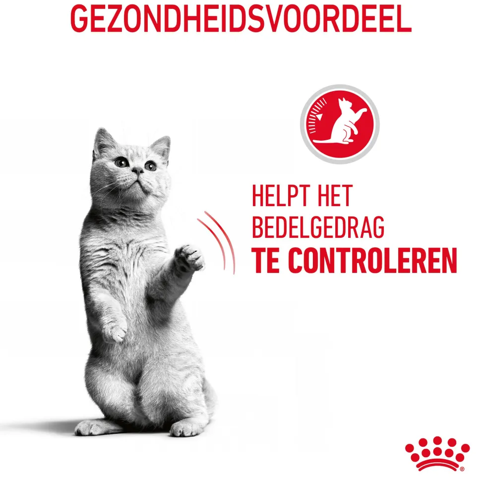 Royal Canin Appetite Control Care - Kattenvoer